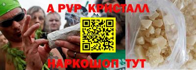 спиды Гагарин