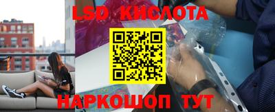 прущие крисы Гатчина